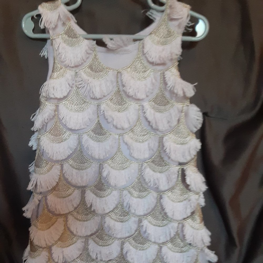 Pink and Gold Fringe Toddler Girls Dress 4T